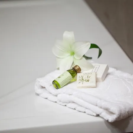 Opera Heritage 4* Split